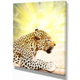 thumbnail image 2 of Ferocious Leopard At Sunrise - Animal Canvas Art Print, 2 of 3