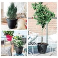 thumbnail image 4 of Bloem 14in Lucca Planter Black LP1400, 4 of 5