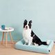 thumbnail image 2 of Indoor Sofa Puppy Dog Bed Accessories Kennel Canil Enclose Cat Shop Dog Bed Camping Furniture Casa Perro Pet Products MR50DH ShopWise Round, 2 of 8