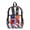 American Flag Zebra, variant on Clear Backpack 17 Inch, Heavy Duty See Through Bookbag with Front Pockets & Side Mesh, Graffiti T Rex Print Fabric & PVC Transparent Bag for School, Work & Security