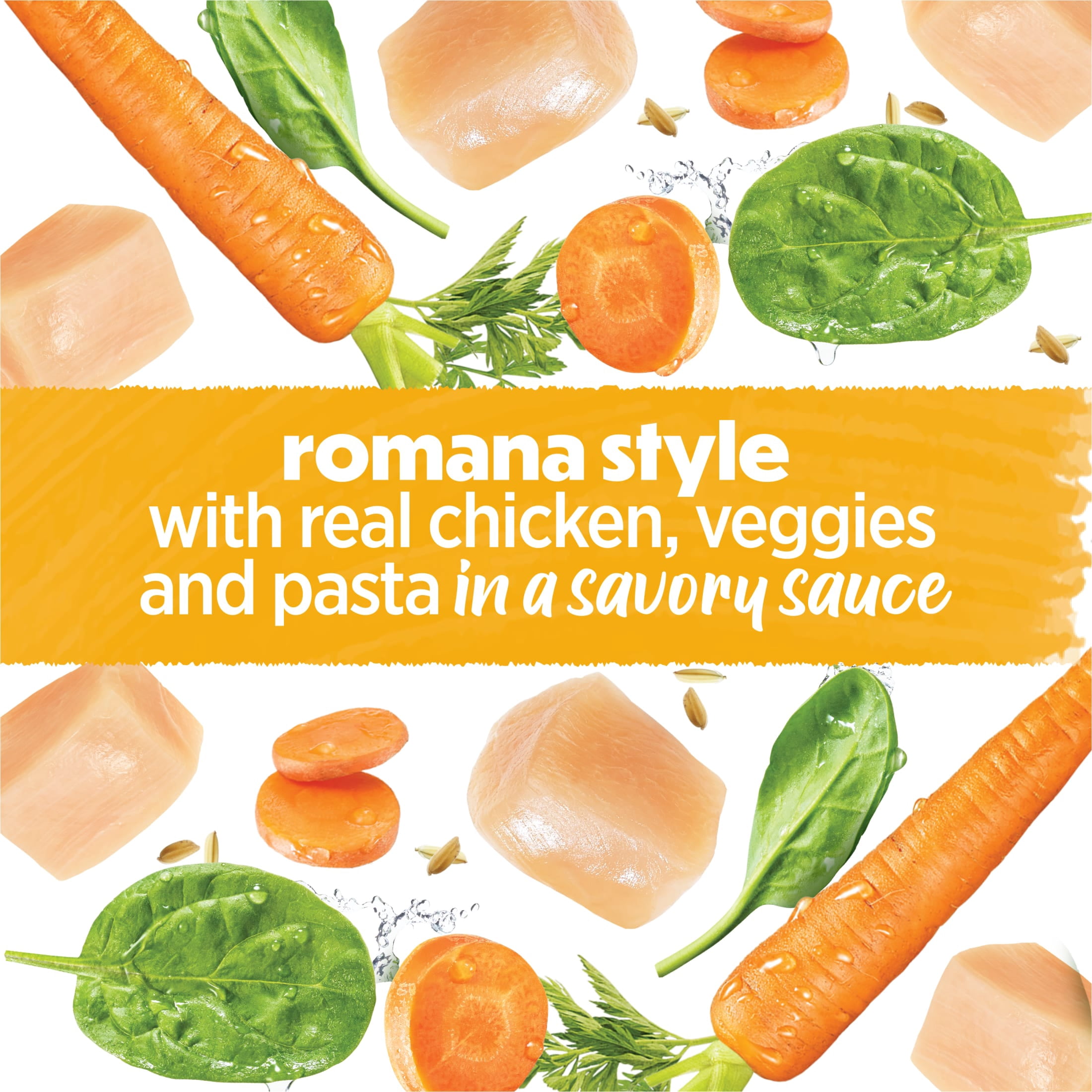 Purina Beneful Medleys Romana Style Wet Dog Food with Real Chicken, Carrots, Pasta, and Spinach in Dog Gravy, 3 oz Can
