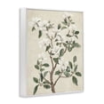 thumbnail image 3 of Stupell Industries White Floral Blossom Tree White Framed Giclee Art, design by Petal Prints Design, 3 of 8