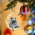 thumbnail image 4 of Christmas Ornaments Animals Sitting On the Moon Ornaments for Christmas Tree Doubleprinted Acrylic Hanging Pendant for Christmas Tree Decorations Window Wall Hanging Ornament Living Room Decoration, 4 of 4