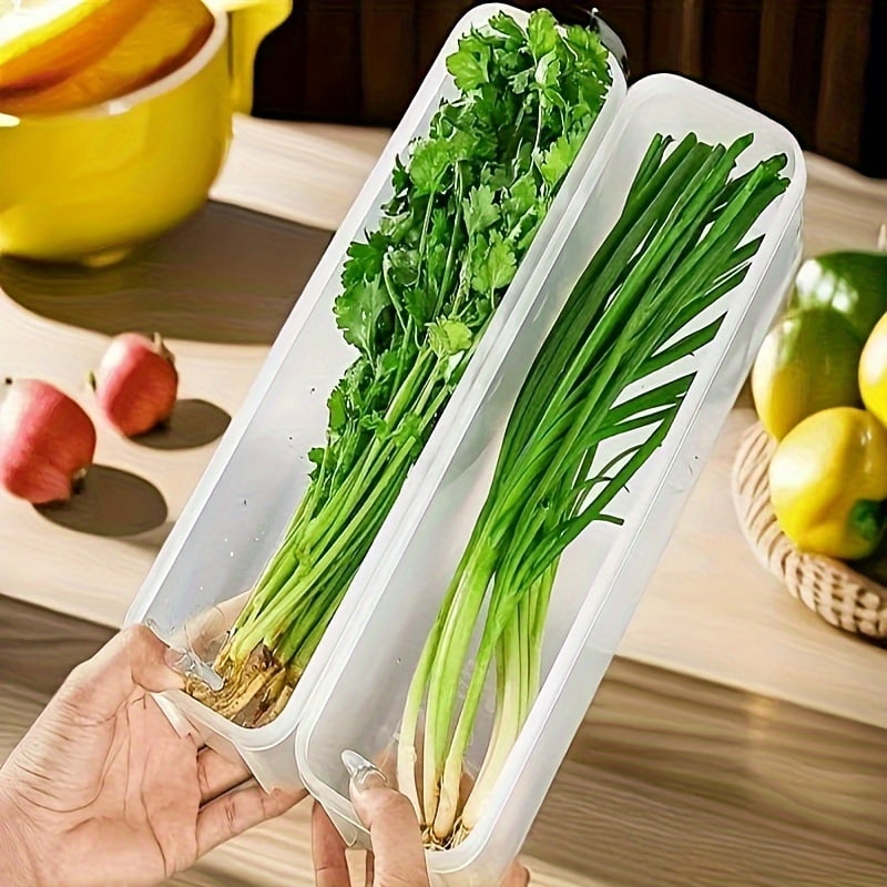 Food Storage Containers -Fridge Organizer with Removable Drain Plate & Lid for Fish, Meat, Fruits, Vegetables​