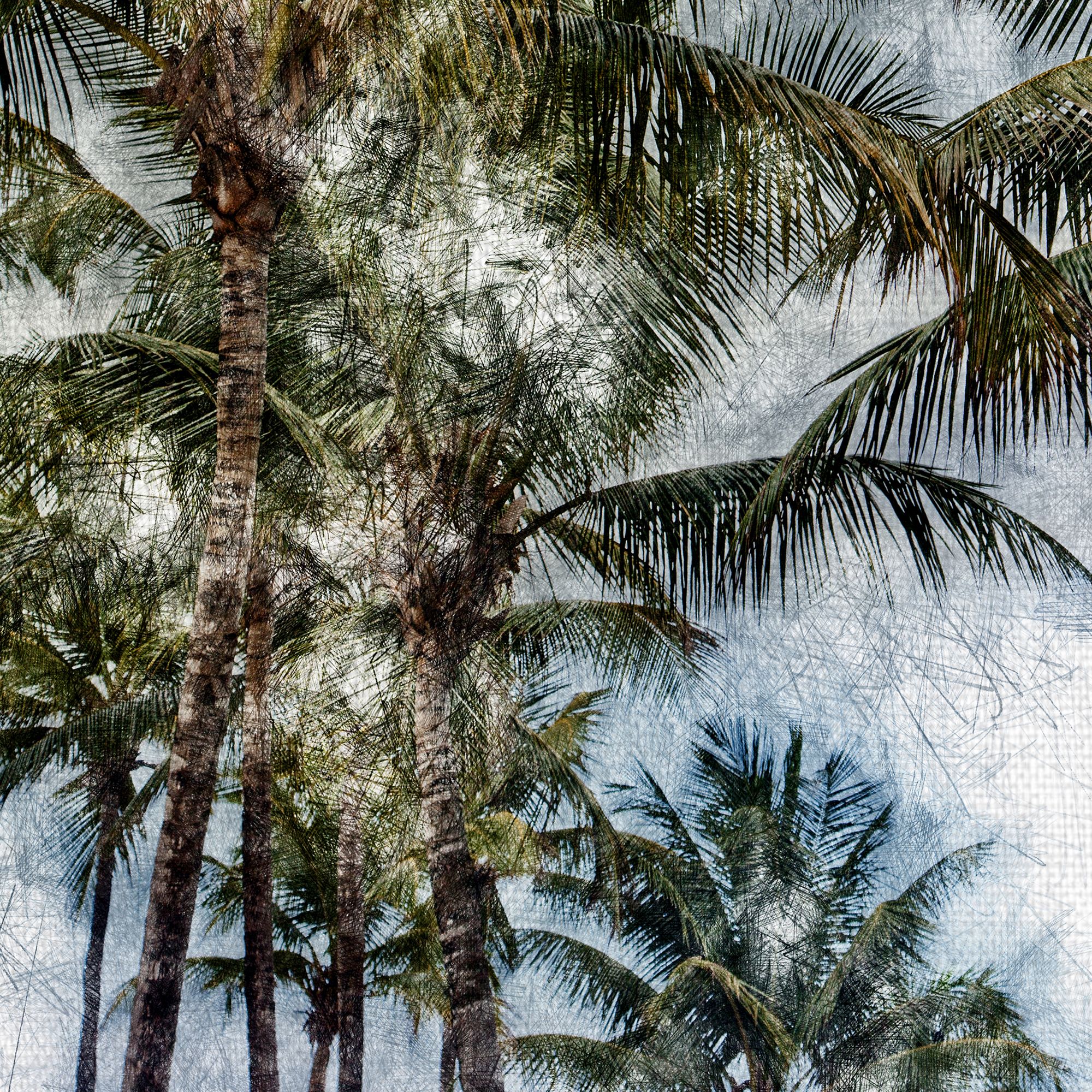 Masterpiece Art Gallery Dorado Palms 2 By Golie Miamee Canvas Art Print 24" x 36"