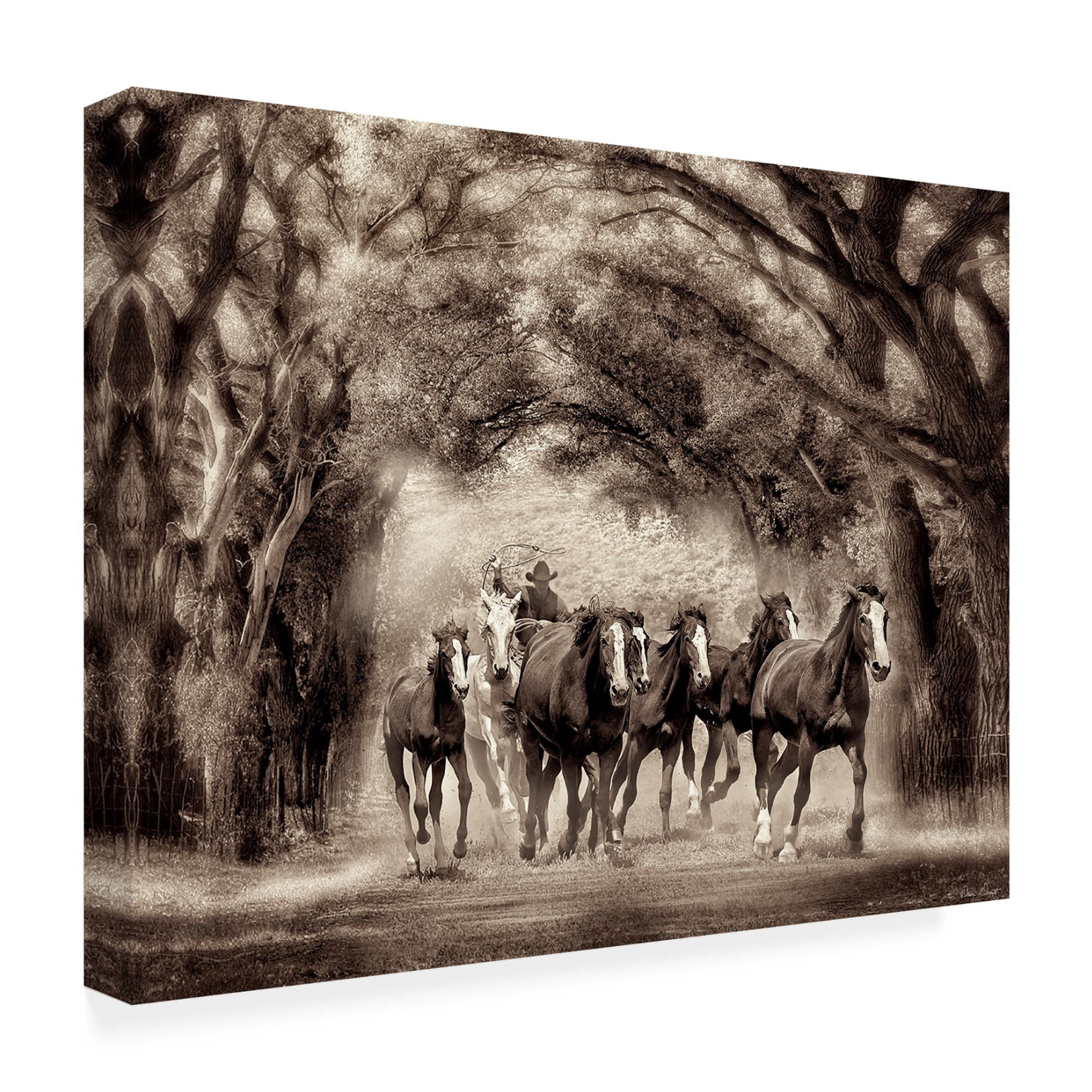 Trademark Fine Art David Drost Running Under the Cottonwoods Canvas Wall Art