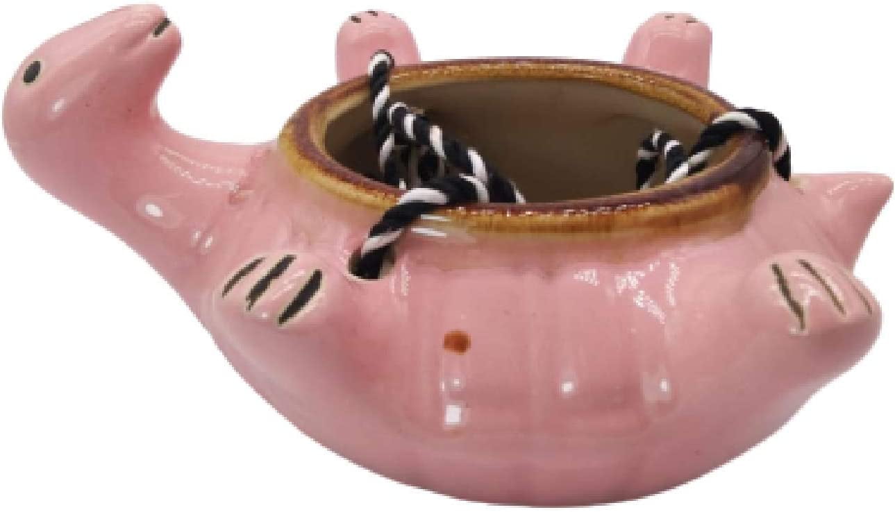 India Meets India Ceramic Hanging Planter Pot Flower Pot Indoor Planter Handicraft by Awarded Indian Artisan (Turtle, Pink)