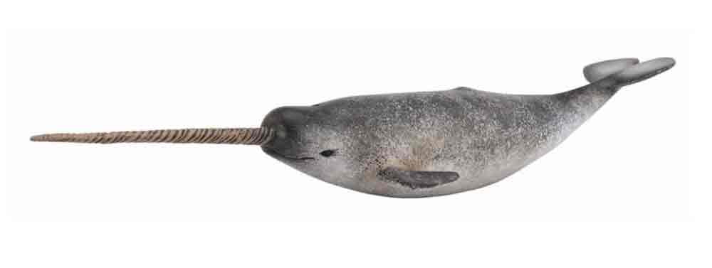 narwhal figure
