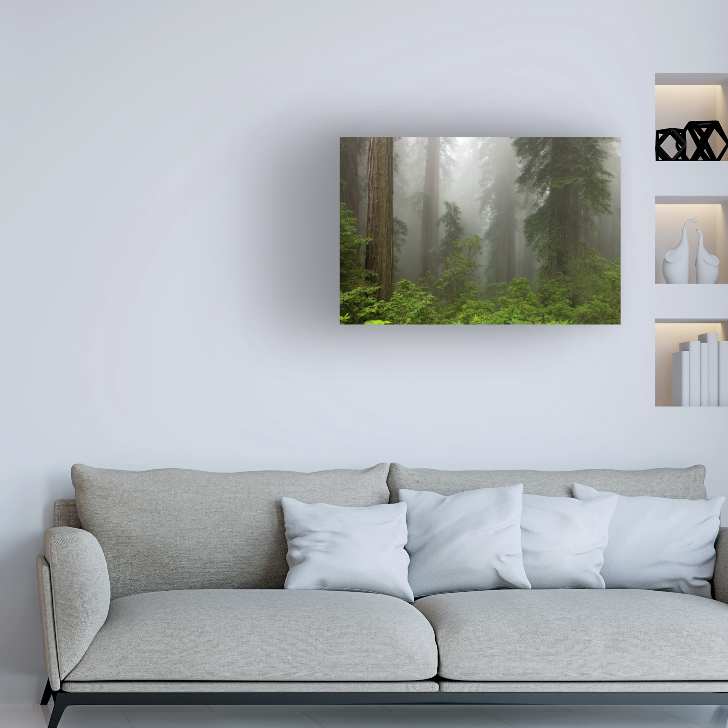Trademark Fine Art 'Redwoods NP Fog' Canvas Art by Mike Jones Photo