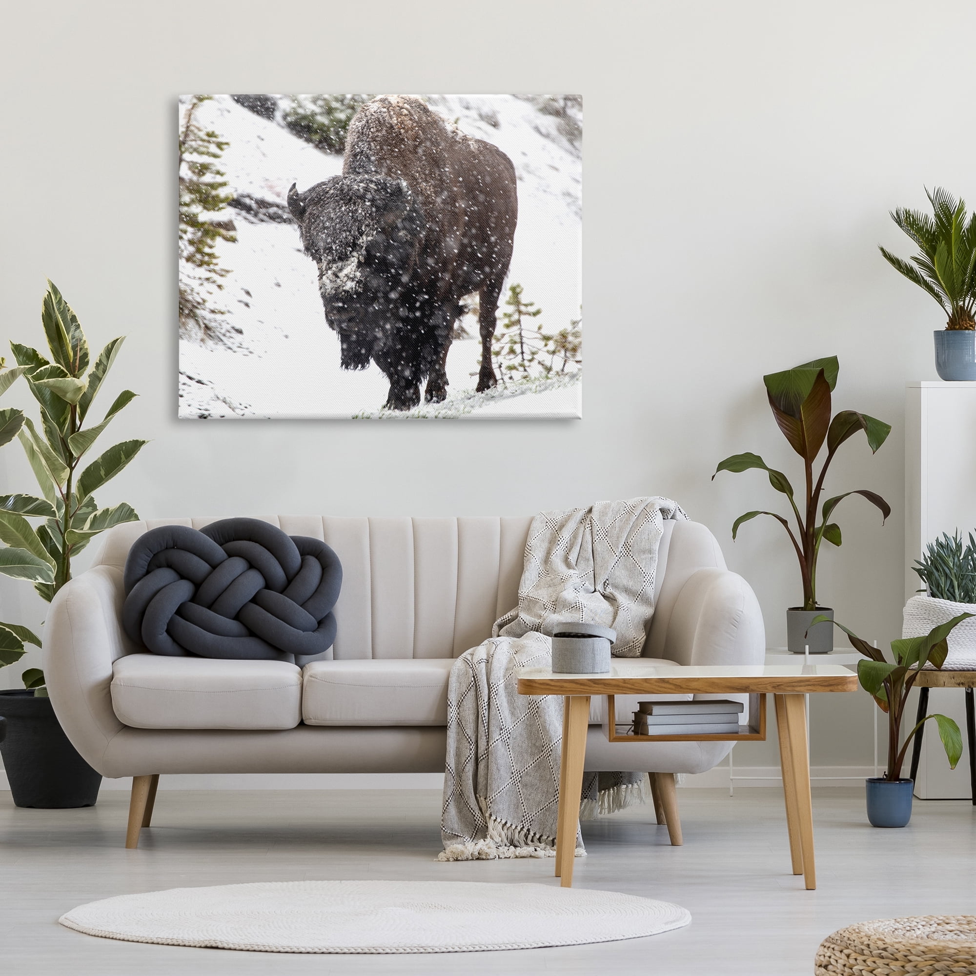 Stupell Industries Bison in Windblown Snow Animals & Insects Photography Gallery Wrapped Canvas Print Wall Art, 48 x 36