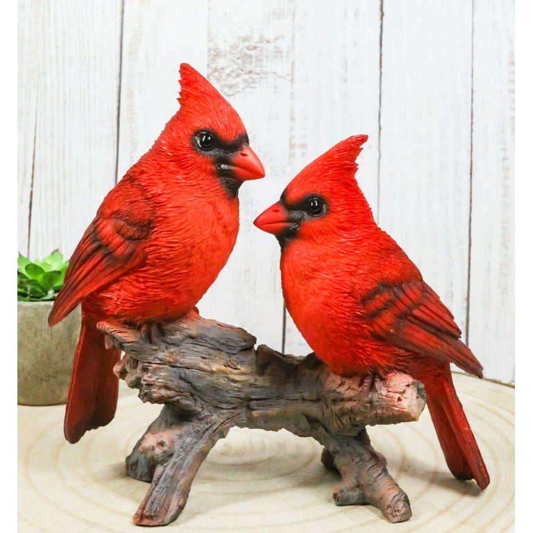 Wildlife Nature 2 Northern Red Cardinal Birds Perching On Branch