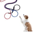 thumbnail image 1 of Visland Strong Slip Lead Dog Leash Adjustable Loop High-density Nylon Braided Rope Vibrant Color Training Leash for Large Medium Small Dogs, 1 of 8