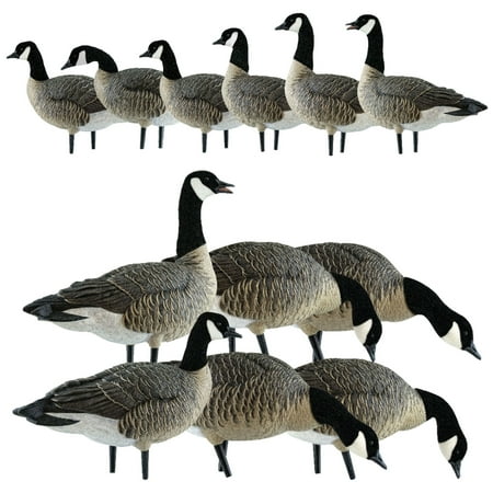 Avian X AXP Honkers Fusion Pack Goose Decoy with 6 Piece Fusion Pack