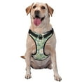 thumbnail image 1 of XMXY No Pull Dog Harness, Daisy Floral Green Adjustable Reflective Pet Harness with Oxford Vest, Large Size, 1 of 9