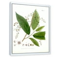 thumbnail image 3 of Designart 'Ancient Brazilian Plant I' Traditional Framed Canvas Wall Art Print, 3 of 5