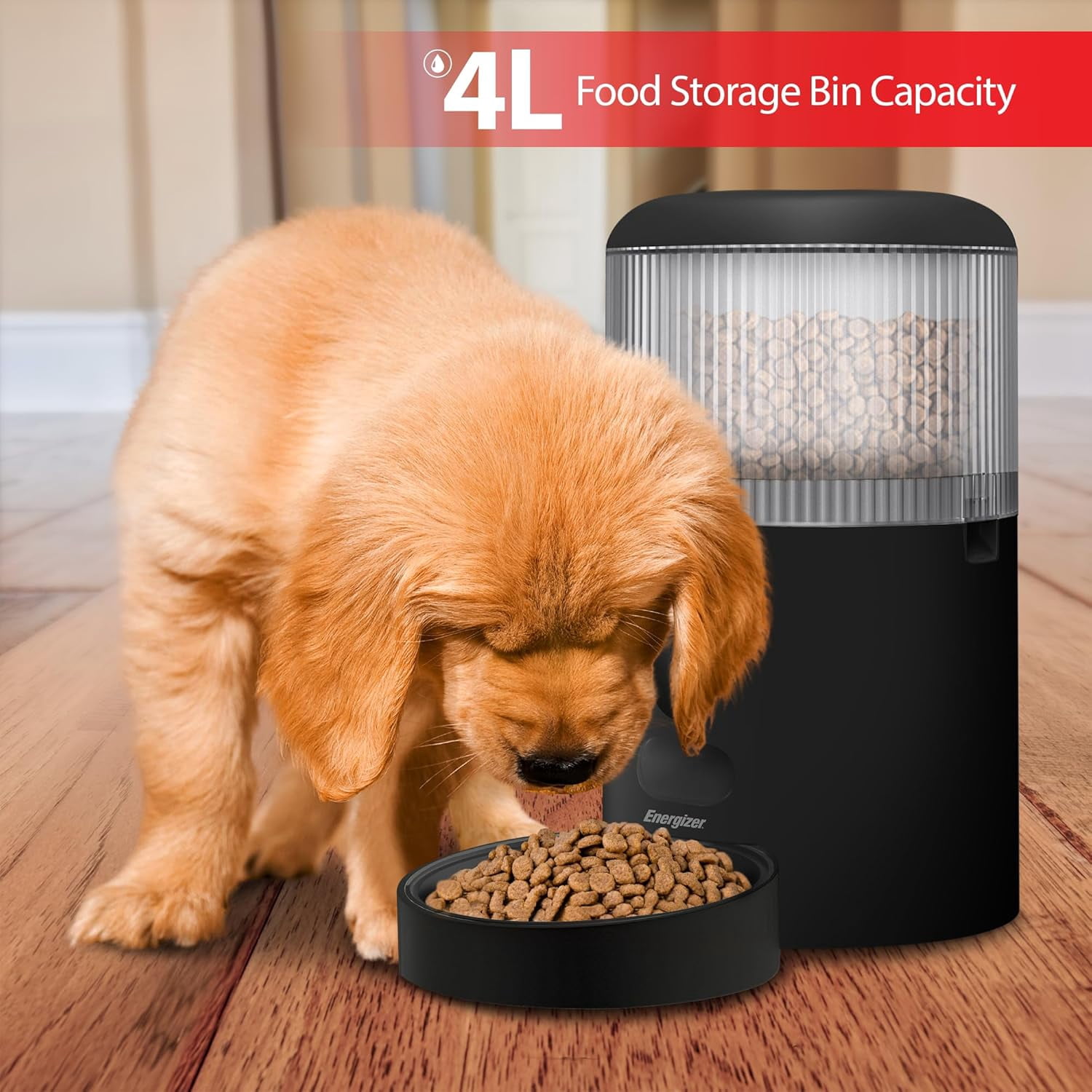 Energizer Smart Pet Feeder, Automatic Pet Feeder with 2K Video Camera & Two-Way Audio, Black
