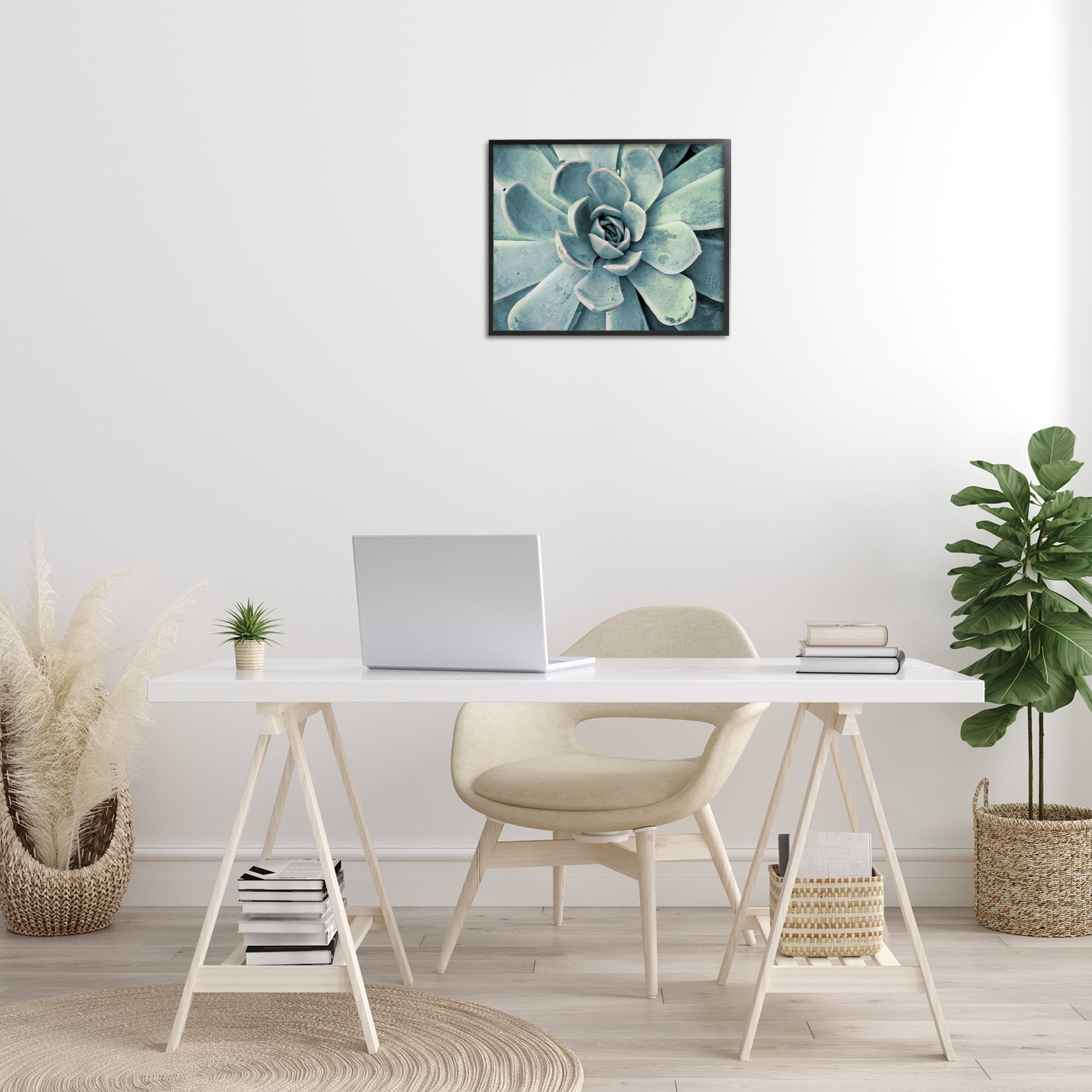 Stupell Industries Green Cactus Succulent Botanical & Floral Photography Black Framed Art Print Wall Art, 20 x 16