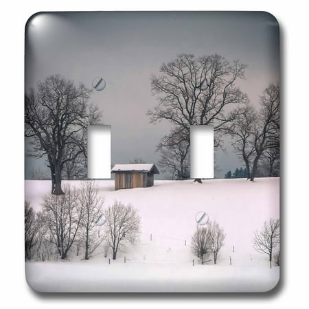 3dRose Winter scene, hill and trees, hut and foreboding sky - Double Toggle