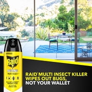 Raid Defense System Indoor and Outdoor Ants, Roaches, Spiders and Flies Insect Killer Bug Spray, 15 oz