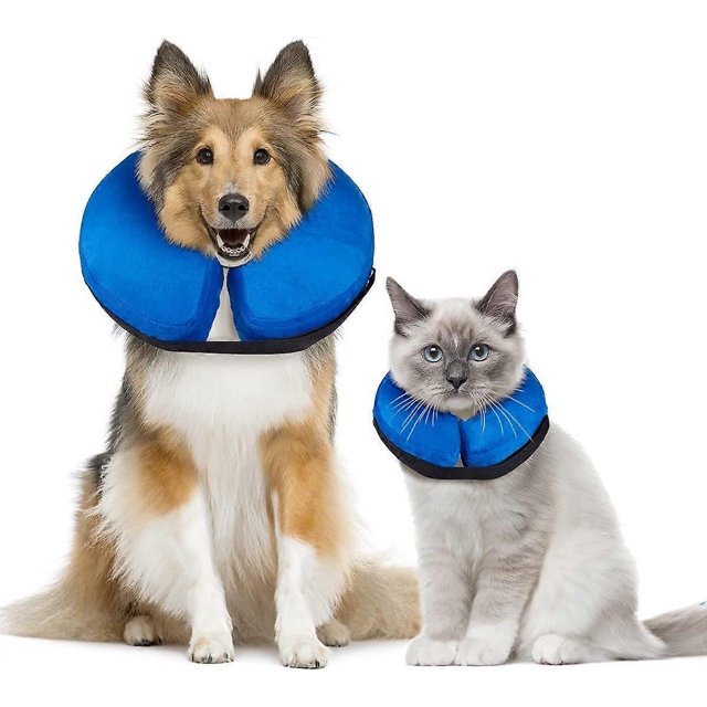 Collar de cono inflable de recuperación para perros y gatos después de una cirugía. Collar de cono de recuperación suave y protector que evita que las mascotas toquen las heridas de los puntos.