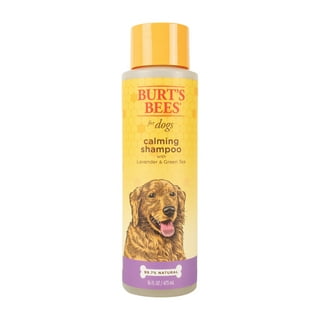 Burt's Bees All Dog Shampoo in Dog Shampoo 