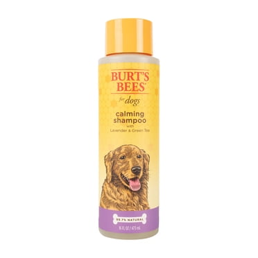 Burt's Bees Natural Calming Dog Shampoo with Lavender and Green Tea, 16 fl oz