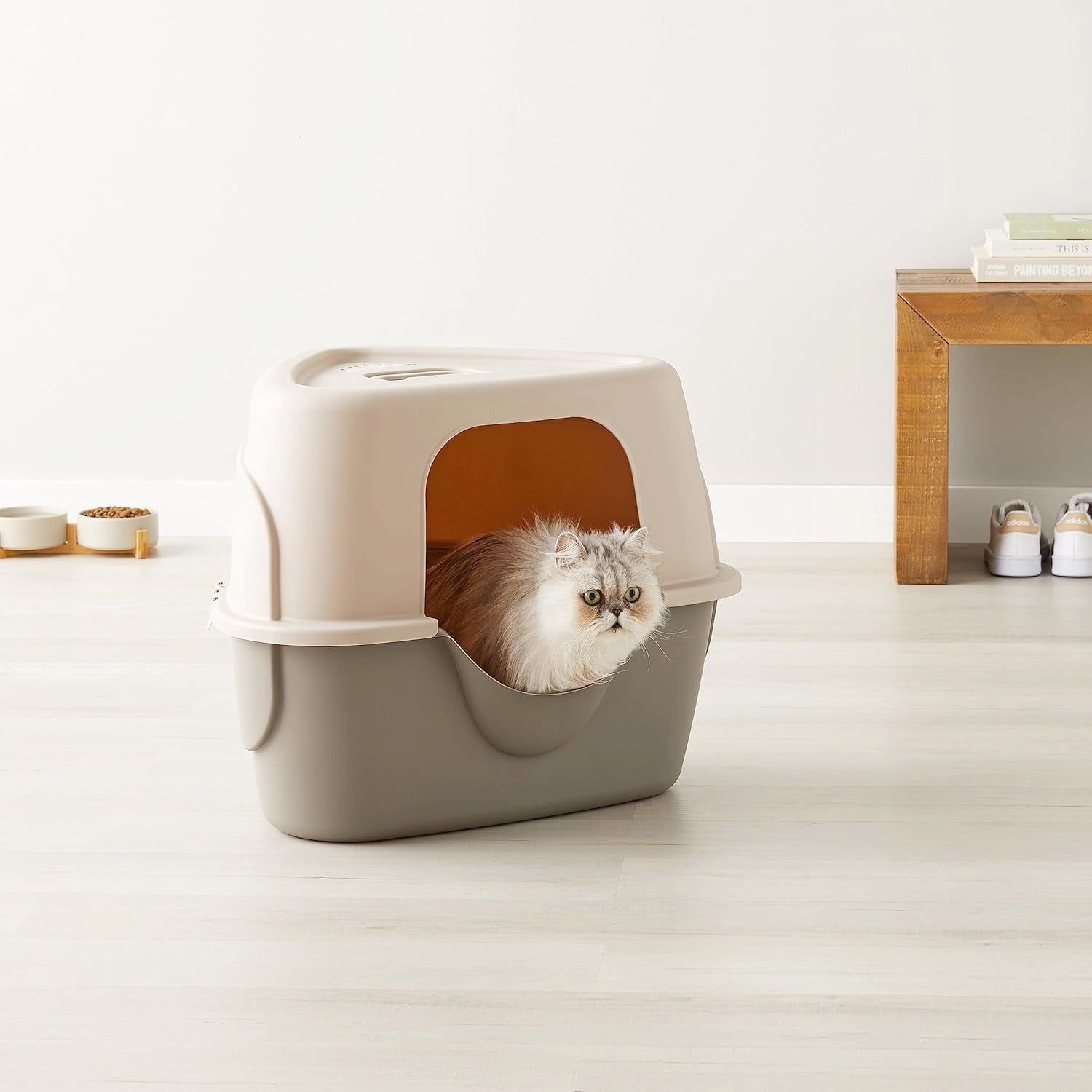 Spacious Enclosed Charcoal Cat Litter Box with Lid, Odor Control Design