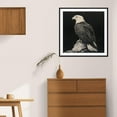 thumbnail image 5 of Moonow7 Small Botanical Animal Wall Art Prints, Peacock Picture Poster with Eastern Charm for Bedroom, Living Room, Home Office or Gallery Space, Unframed Size 30×30 cm / 12×12”, 5 of 14