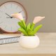 thumbnail image 4 of Planta en maceta de resina de simulación de cactus | Mini adorno de suculentas artificiales para decoración del hogar, escritorio, automóvil, regalo | Morado con bufanda | Lindo diseño pequeño y, 4 of 6