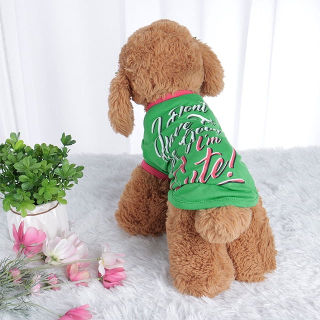 Camiseta para Mascotas Primavera Ropa para Cachorros Pequeños Ropa para Gato Vestido Estilo Rayas,#1,XS