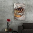 thumbnail image 6 of Epic Art 'Eye-Catching Bald Eagle' by Barbara Keith, Acrylic Glass Wall Art, 24"x36", 6 of 8
