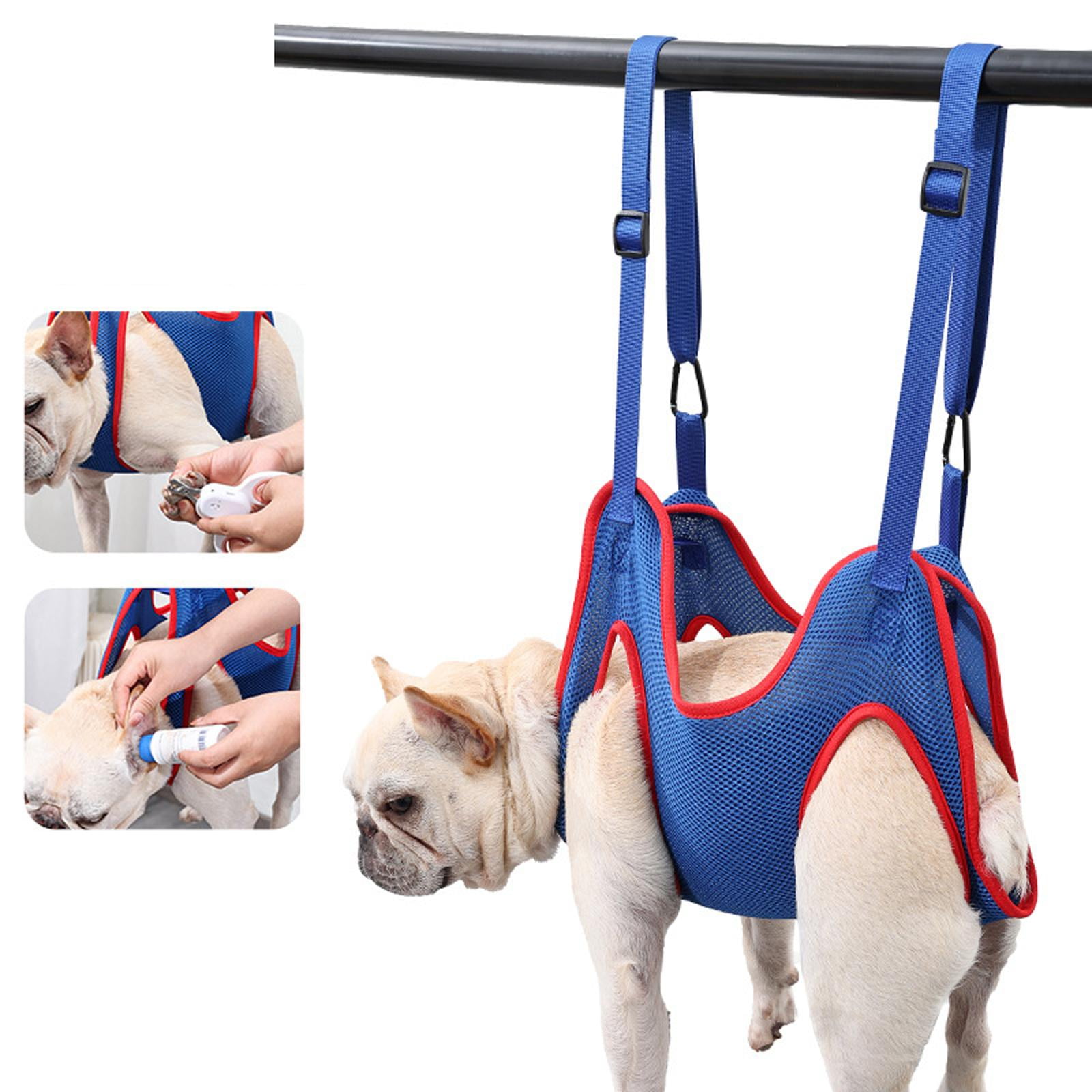 Benefits and Advantages of Front-Attaching Harnesses for Dogs - PetHelpful