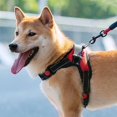 thumbnail image 4 of Pet Dog Leash Traction Chest Arnés Arrastre A prueba de explosiones Red-m Aespa Sincero Hogar, 4 of 5