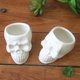thumbnail image 4 of EeaseMX 2 macetas pequeñas de cerámica con forma de calavera para suculentas, cactus, decoración para el hogar y la oficina (blancas), 4 of 7