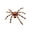 A, variant on PILE Halloween Home Decor Halloween Colorful Spider Props Garden Outdoor Spider Decoration Horror Tricky Spider