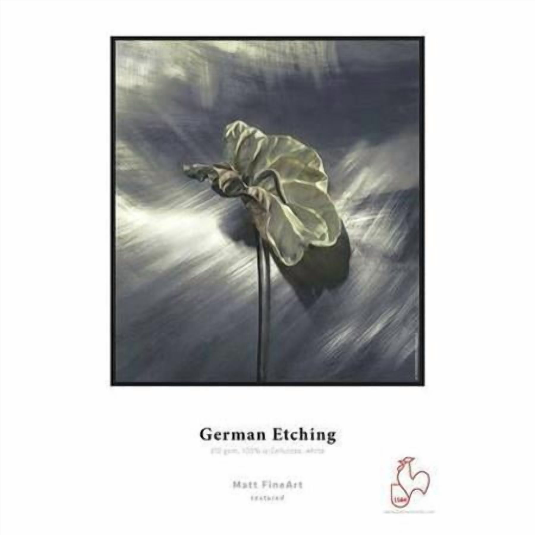 Hahnemuhle Matte German Etching, 100% TCF Pulp, Natural White Inkjet Paper, 19.6 mil., 310 g/mA, 13x19", 25 Sheets