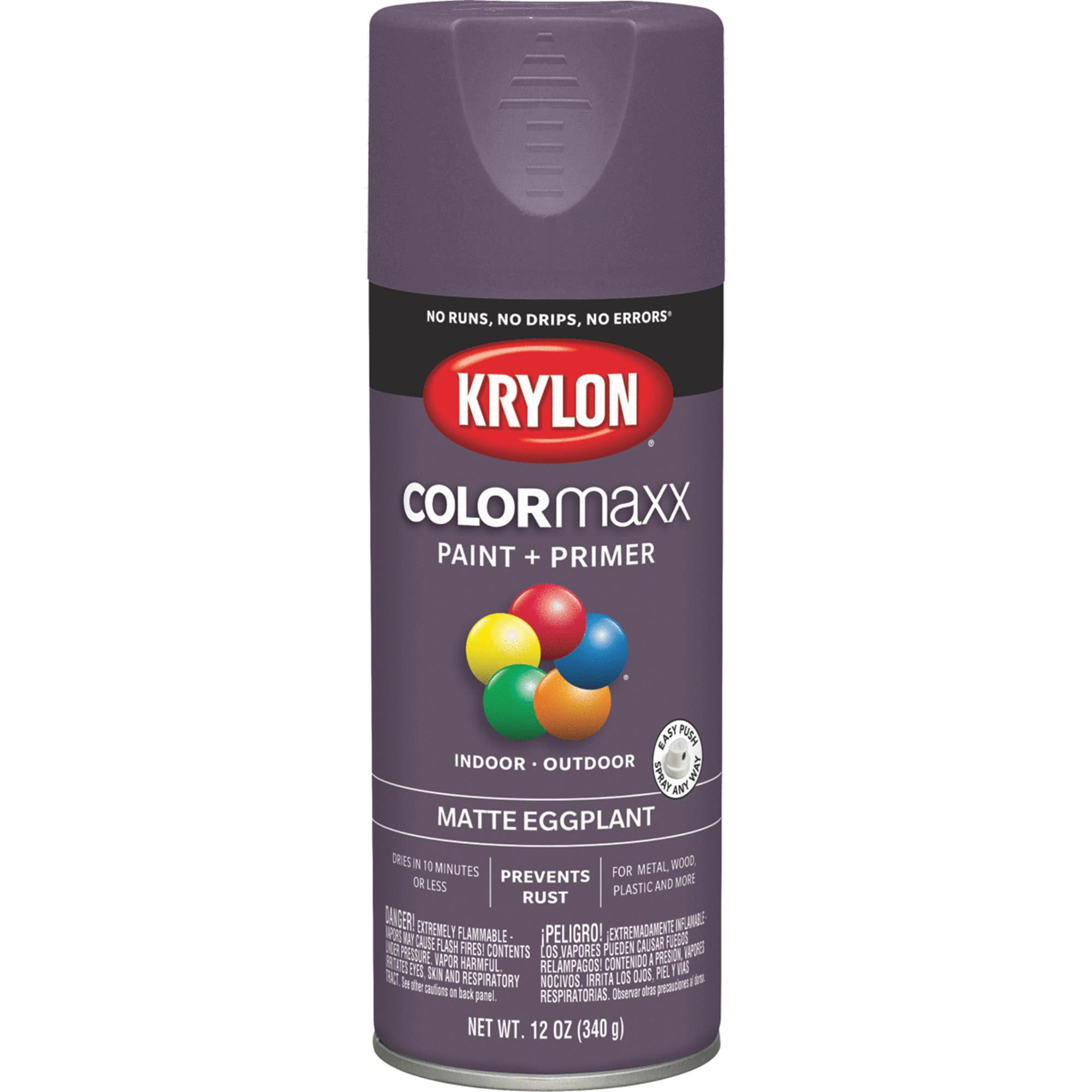 Krylon ColorMaxx Spray Paint