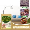 thumbnail image 1 of Natural Mite Killer Mite Remover Home Bed Pillow Sheet Bugs Cleaner (20 piezas) Wdftyju Libre de BPA, 1 of 4