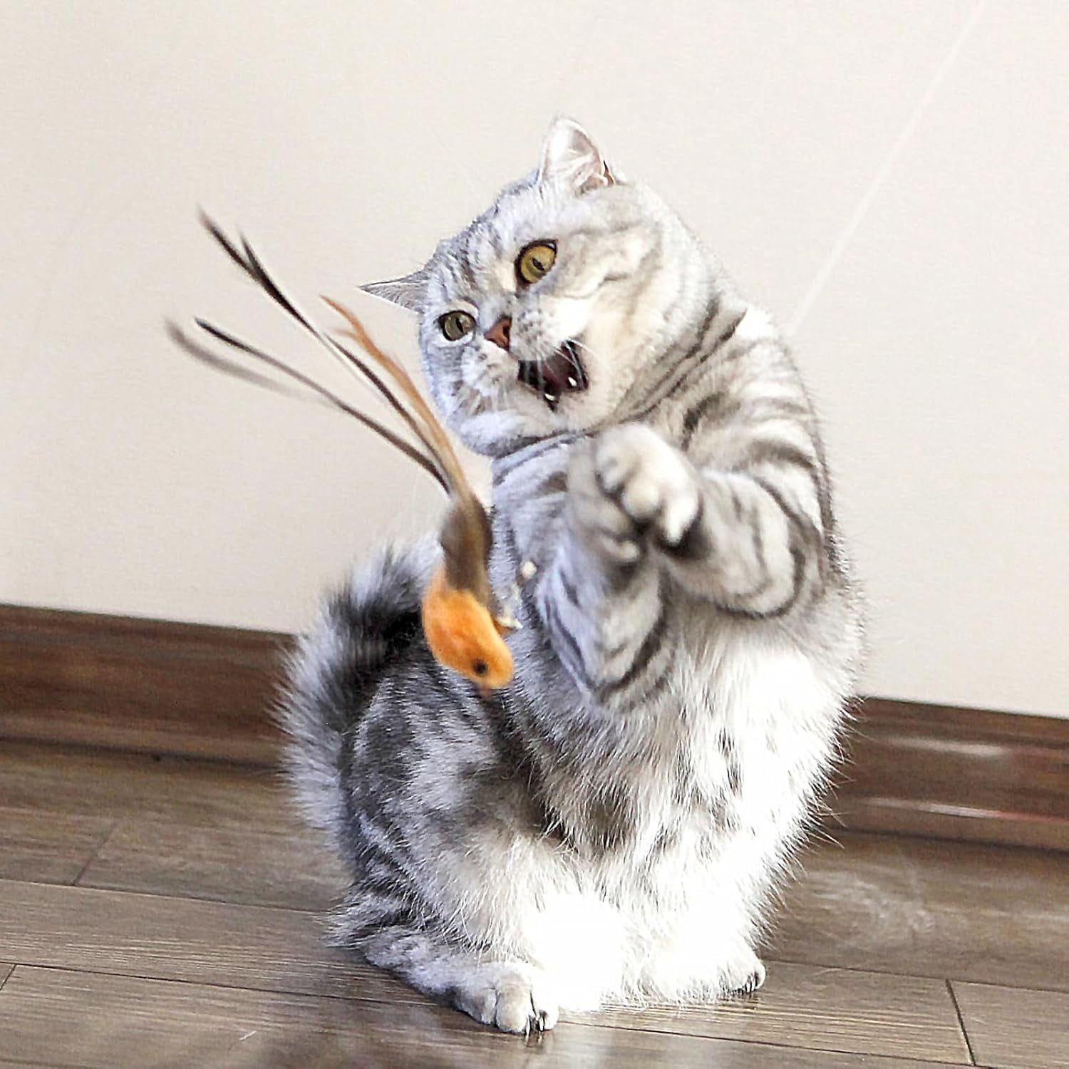Interactive Cat Wand Toy Set – 2 Retractable Wands (37" & 49") with 11 Refills Attachments – Feather Toys, Plush Bird, Worms, Insect & Swallow – Cat Teaser Toys for Indoor Cats & Kittens