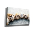 thumbnail image 2 of Epic Graffiti 'Spiral Seashells' by Elena Ray, Canvas Wall Art, 40"x26", 2 of 8