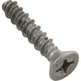 thumbnail image 2 of Pentair Rainbow R172474 13 - 16 x 1.25 in. Replacement Part Screw, 2 of 2