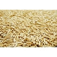 thumbnail image 3 of White Oat Seed by Eretz 3lb - CHOOSE SIZE! Oregon Grown, State Certified Oat Grains- No Fillers, No Coatings, No Weed Seeds., 3 of 8
