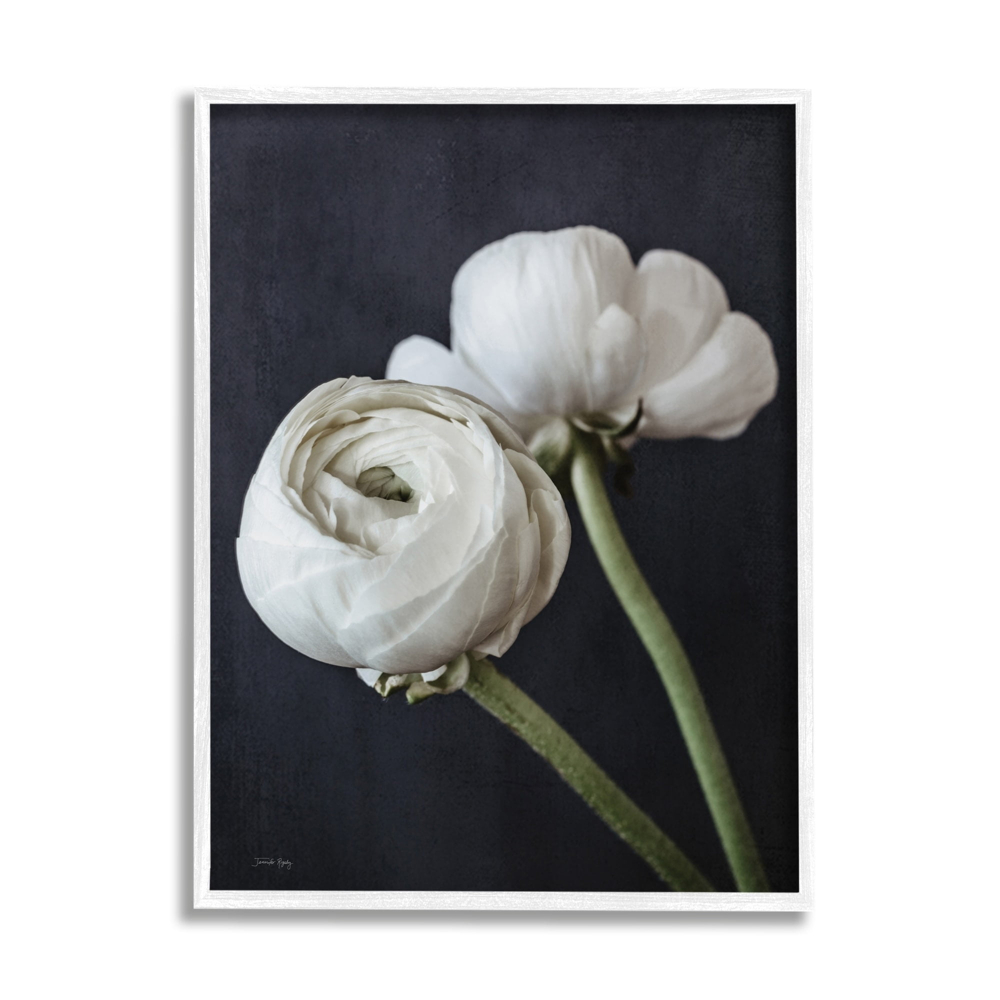 Stupell Industries Modern Ranunculus Flower Blossom Arrangement White Petals Photograph White Framed Art Print Wall Art, Design by Jennifer Rigsby