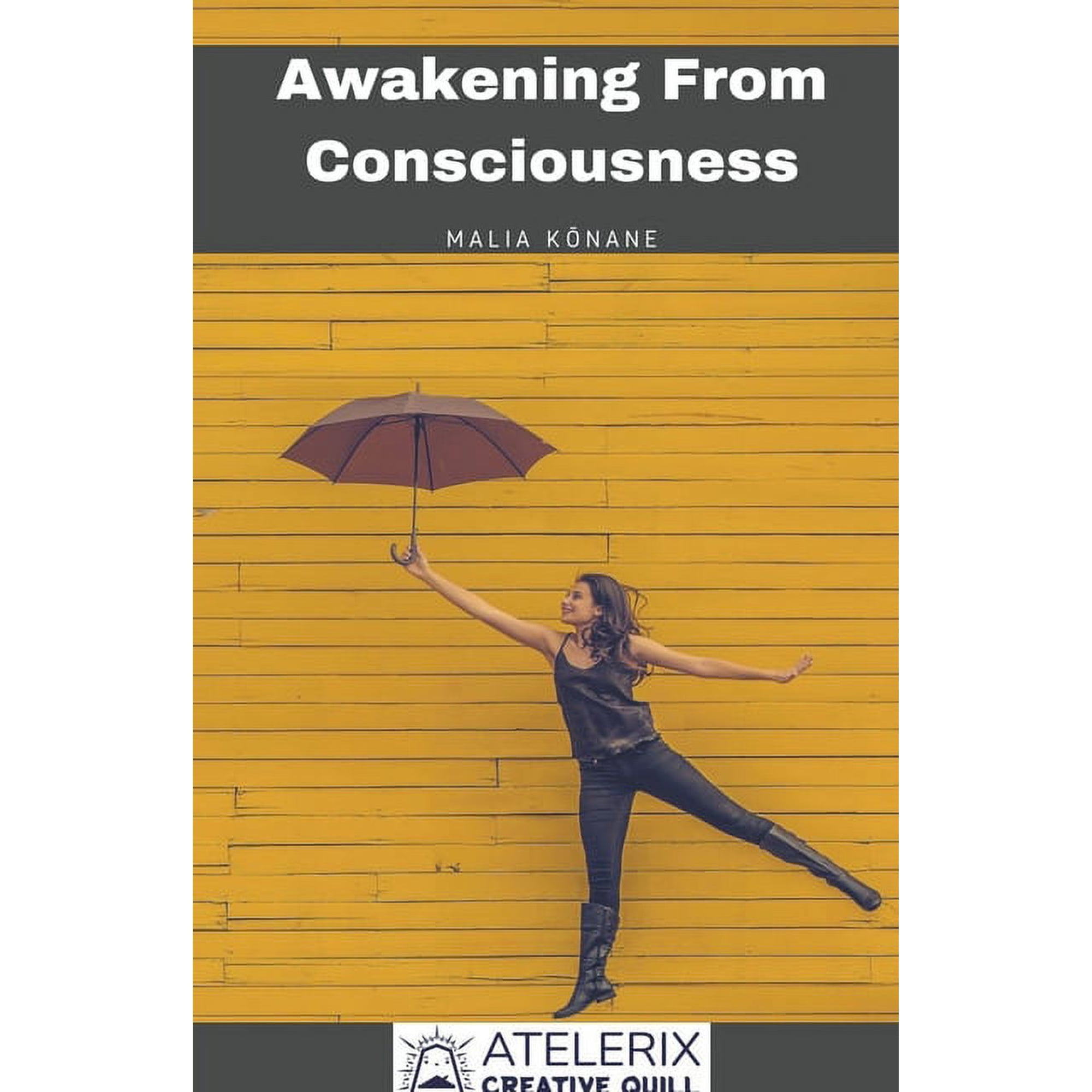 Awakening From Consciousness (Paperback)
