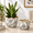 Pattern Blue Flowers, variant on 2 Pack Pattern Green Leaves Ceramic Planters with Drainhole, 5.5 + 6.6 Inch Crackle Glaze Pots
