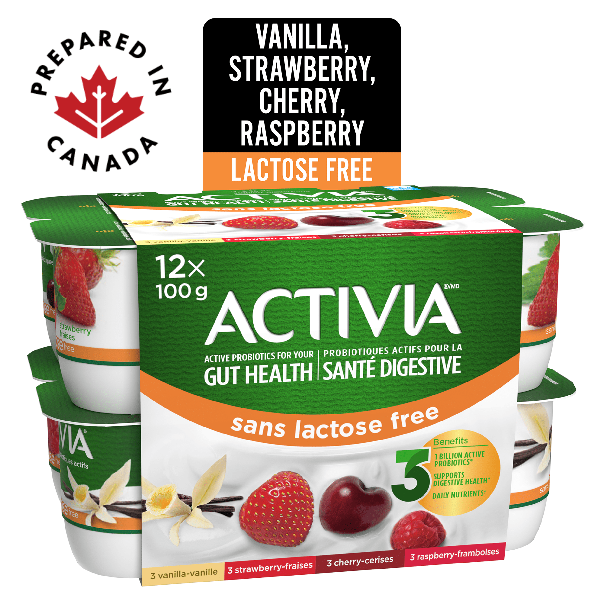 Activia Probiotic Yogurt, Lactose Free, Vanilla/Raspberry/Cherry/Strawberry, 12 x 100 g