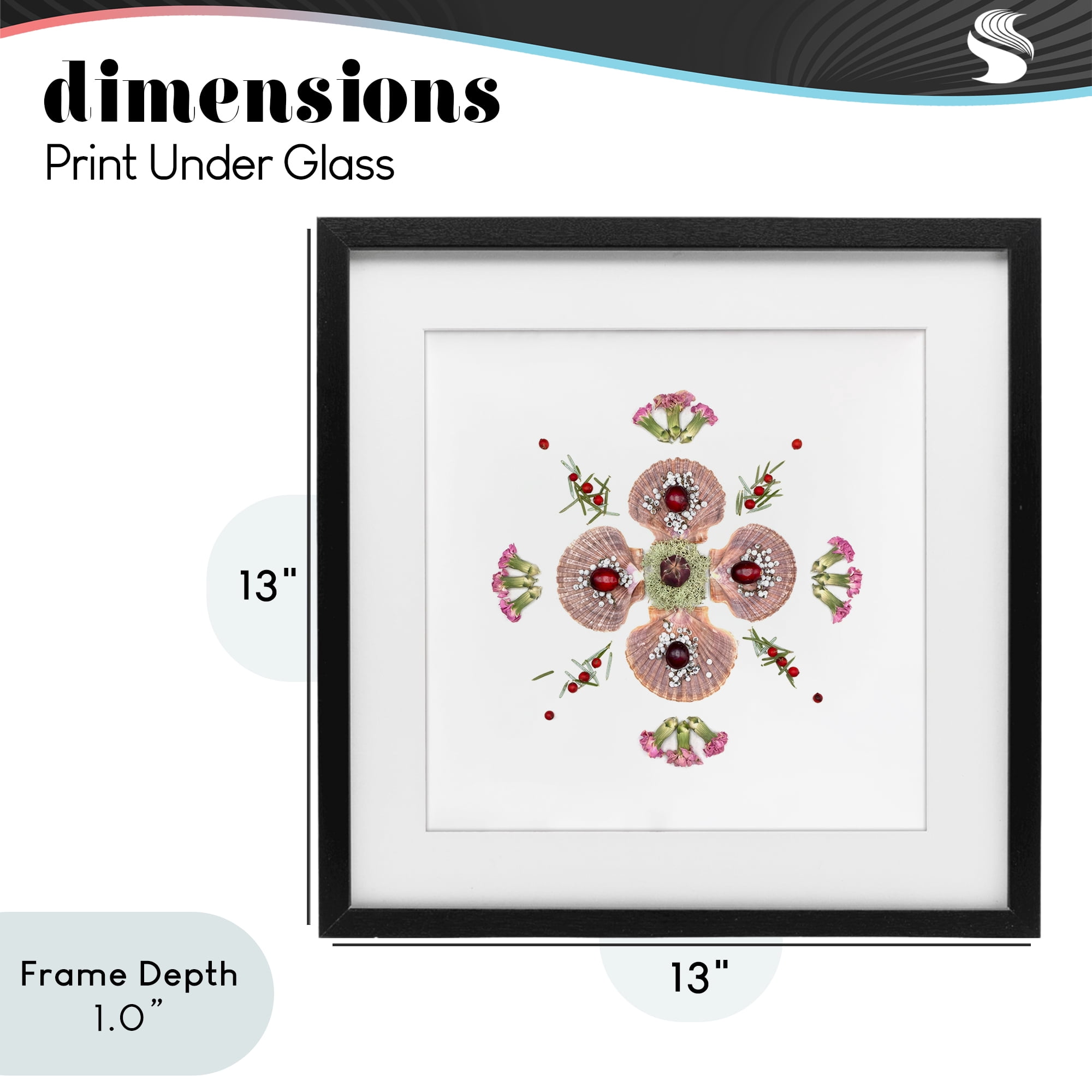 Stupell Industries Clam Shells & Botanicals Pattern Black Framed Print Under Glass, design by Beth Adoette