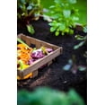 thumbnail image 5 of Vita Urbana 4'L x 4'W x 22"H Vinyl Keyhole Composting Garden, Espresso Brown, VT17501, 5 of 9