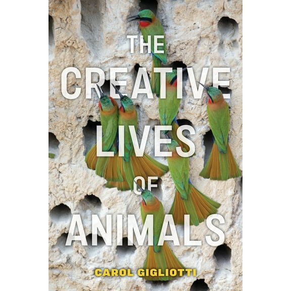 Animals in Context The Creative Lives of Animals, Book 4, (Paperback)