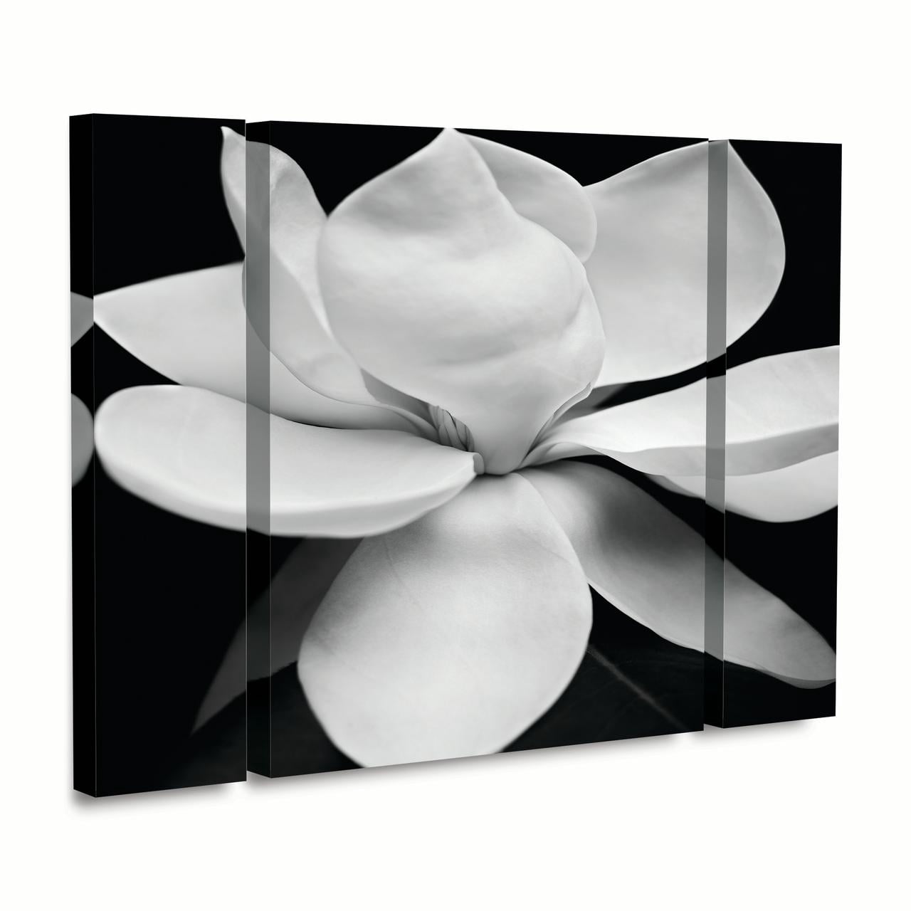 Michael Harrison 'Magnolia' Multi Panel Art Set Small 3 Piece